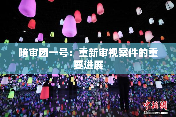 陪审团一号：重新审视案件的重要进展