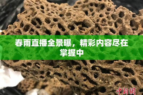 春雨直播全景曝，精彩内容尽在掌握中