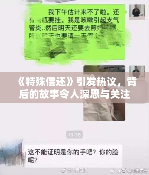 《特殊偿还》引发热议，背后的故事令人深思与关注。