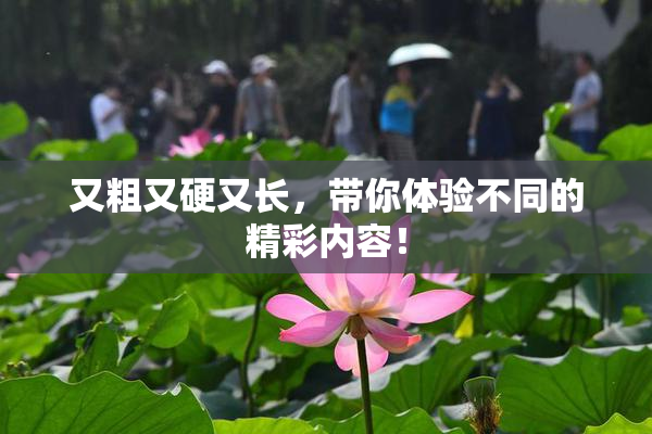 又粗又硬又长，带你体验不同的精彩内容！