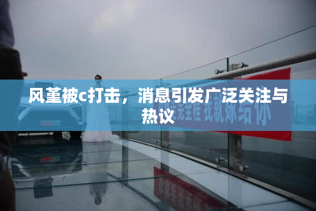 风堇被c打击，消息引发广泛关注与热议