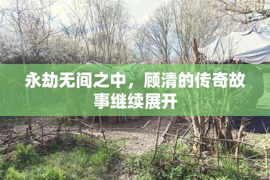 永劫无间之中，顾清的传奇故事继续展开