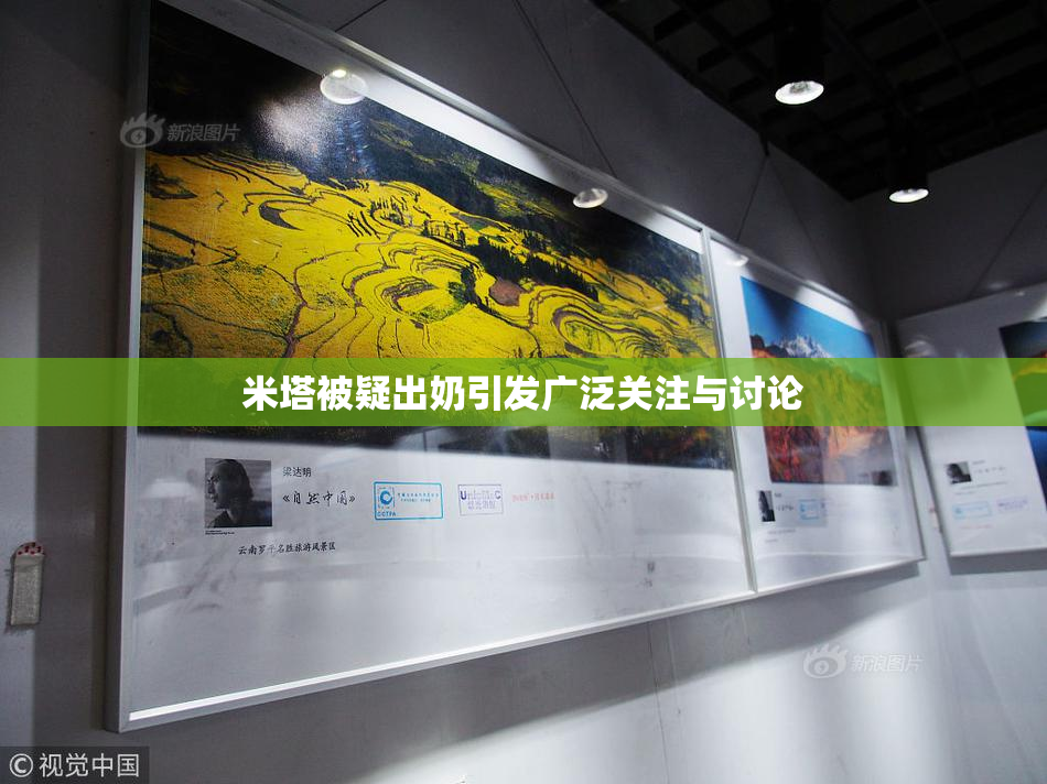 米塔被疑出奶引发广泛关注与讨论