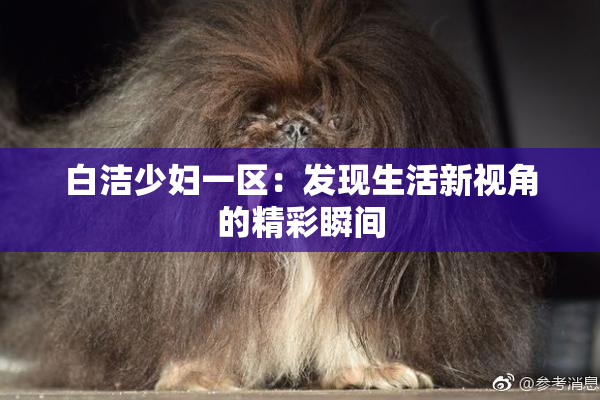 白洁少妇一区：发现生活新视角的精彩瞬间