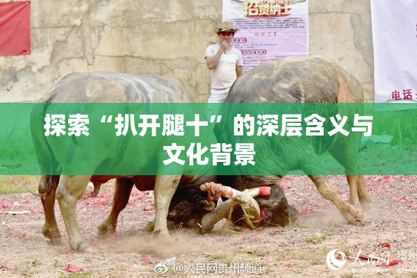 探索“扒开腿十”的深层含义与文化背景