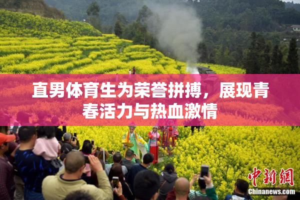 直男体育生为荣誉拼搏，展现青春活力与热血激情