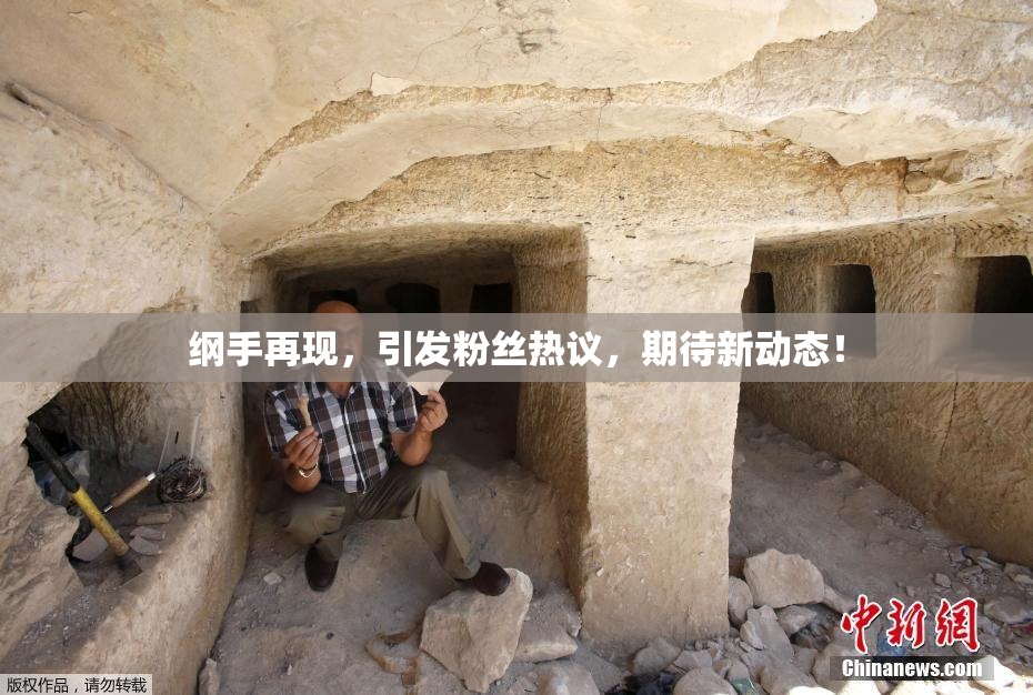 纲手再现，引发粉丝热议，期待新动态！