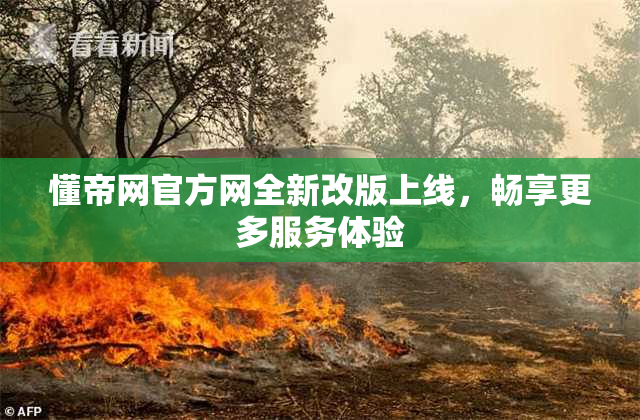 懂帝网官方网全新改版上线，畅享更多服务体验