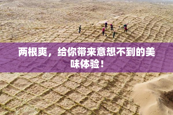 两根爽，给你带来意想不到的美味体验！