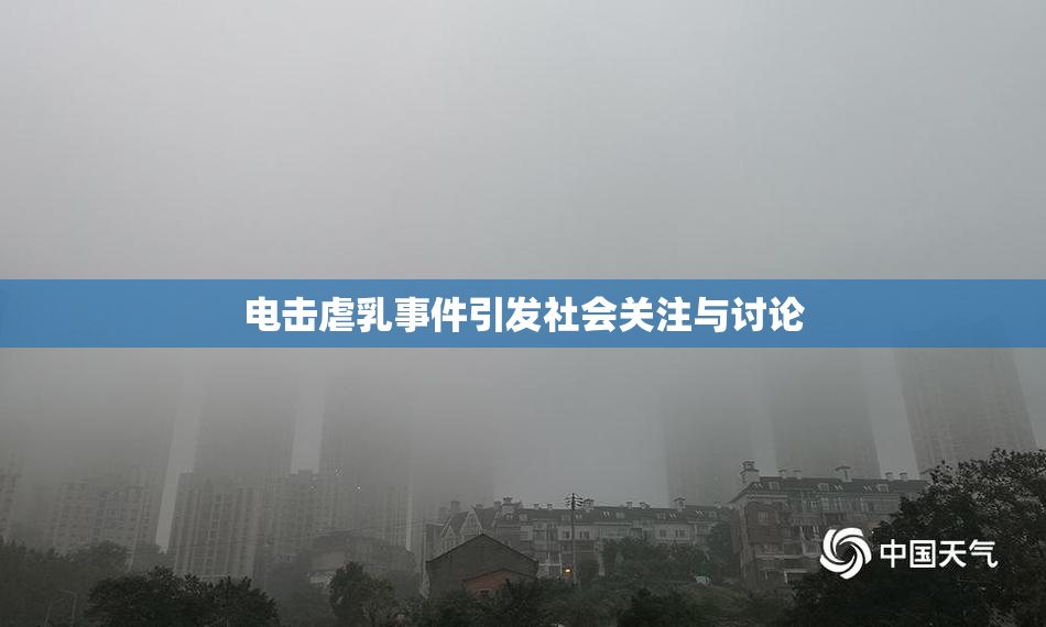 电击虐乳事件引发社会关注与讨论
