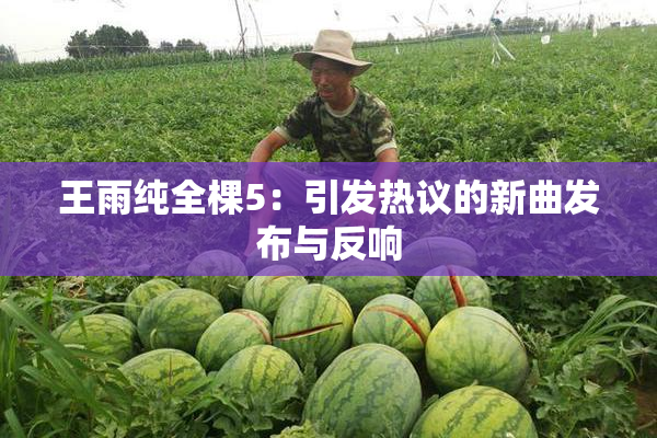 王雨纯全棵5：引发热议的新曲发布与反响