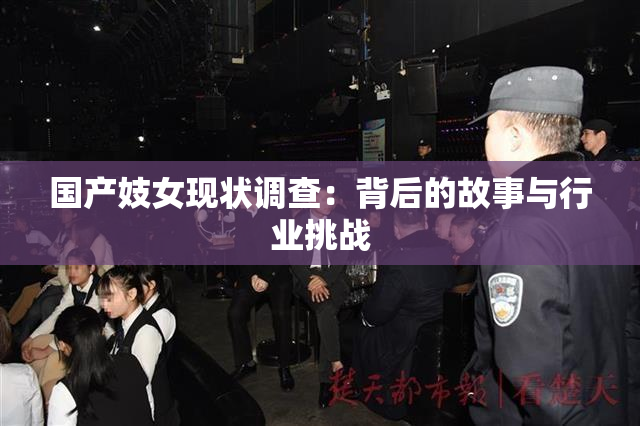 国产妓女现状调查：背后的故事与行业挑战