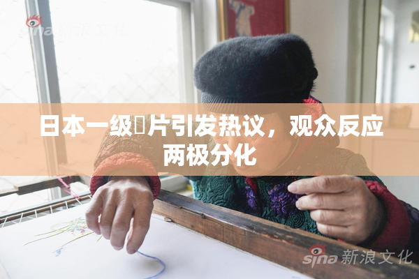 日本一级婬片引发热议，观众反应两极分化