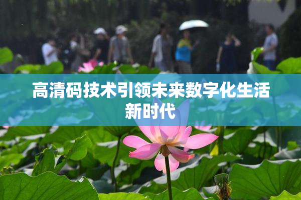 高清码技术引领未来数字化生活新时代