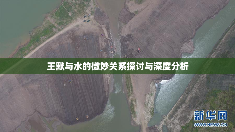 王默与水的微妙关系探讨与深度分析