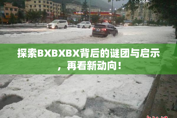 探索BXBXBX背后的谜团与启示，再看新动向！