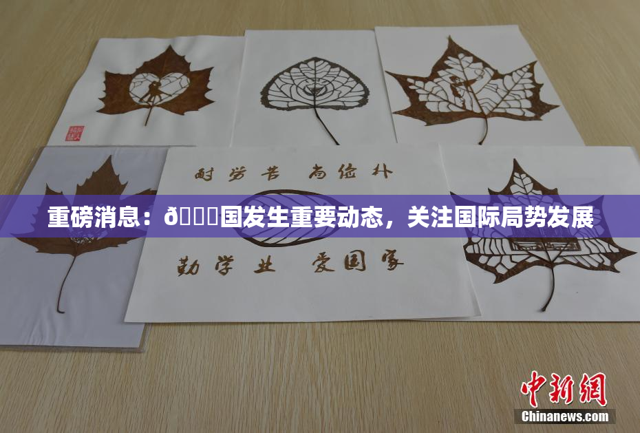 重磅消息：🔞国发生重要动态，关注国际局势发展