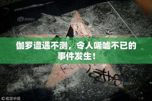 伽罗遭遇不测，令人唏嘘不已的事件发生！