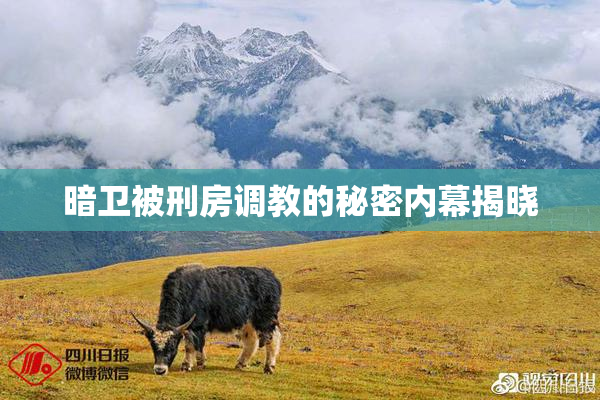 暗卫被刑房调教的秘密内幕揭晓