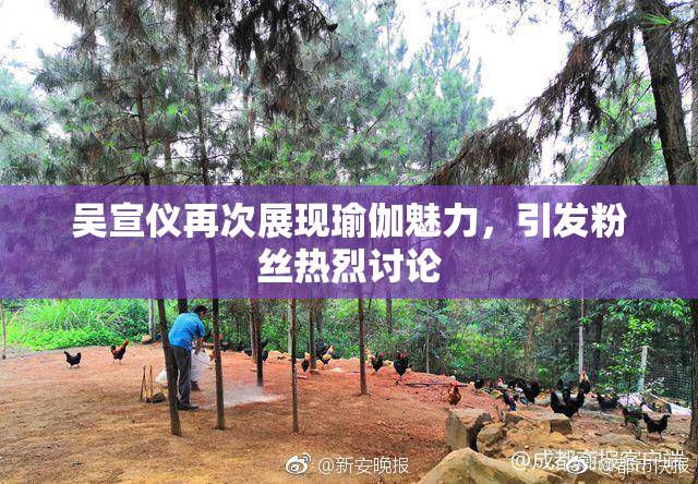 吴宣仪再次展现瑜伽魅力，引发粉丝热烈讨论