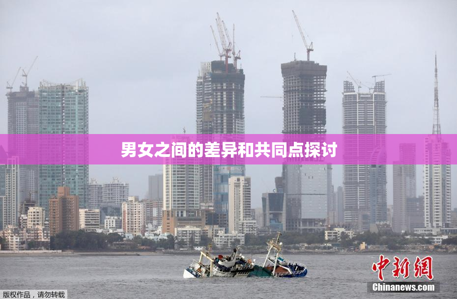 男女之间的差异和共同点探讨