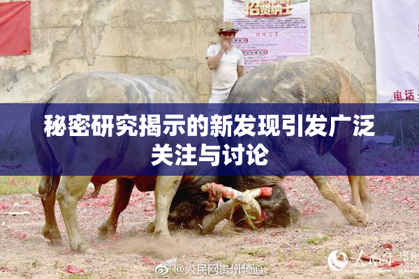 秘密研究揭示的新发现引发广泛关注与讨论