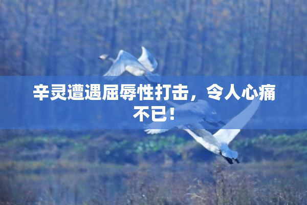辛灵遭遇屈辱性打击，令人心痛不已！
