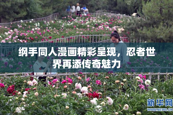 纲手同人漫画精彩呈现，忍者世界再添传奇魅力