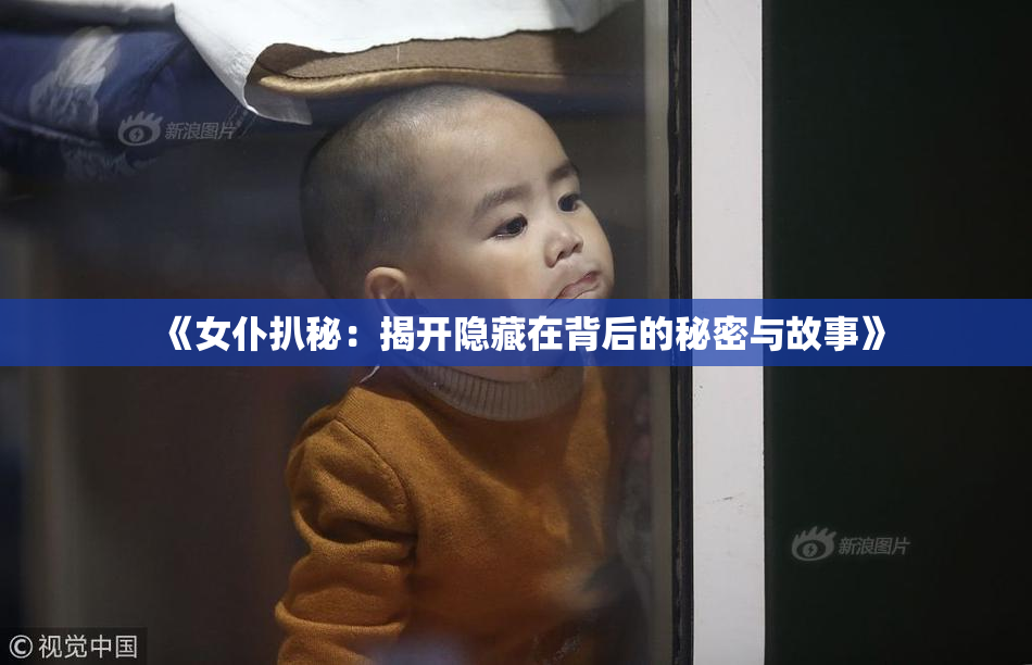 《女仆扒秘：揭开隐藏在背后的秘密与故事》