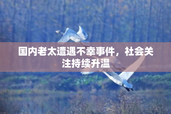 国内老太遭遇不幸事件，社会关注持续升温