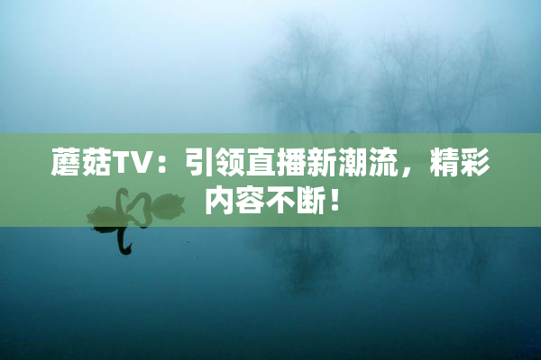 蘑菇TV：引领直播新潮流，精彩内容不断！