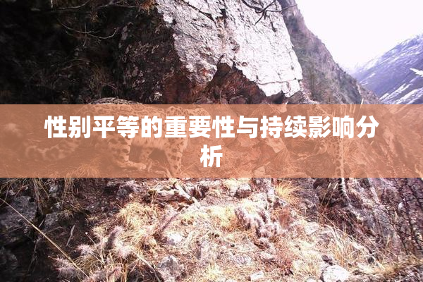 性别平等的重要性与持续影响分析