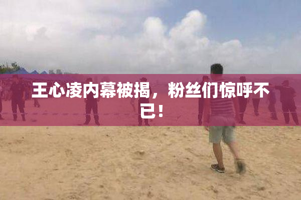 王心凌内幕被揭，粉丝们惊呼不已！