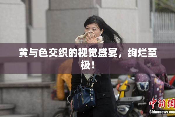 黄与色交织的视觉盛宴，绚烂至极！