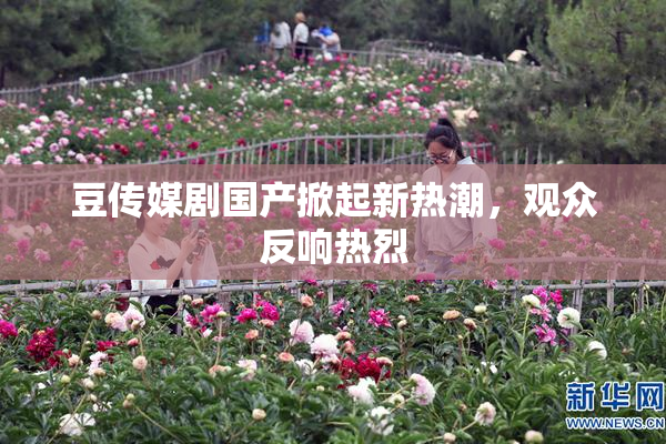 豆传媒剧国产掀起新热潮，观众反响热烈