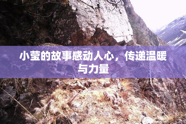 小莹的故事感动人心，传递温暖与力量