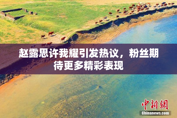 赵露思许我耀引发热议，粉丝期待更多精彩表现