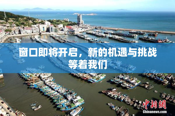 窗口即将开启，新的机遇与挑战等着我们