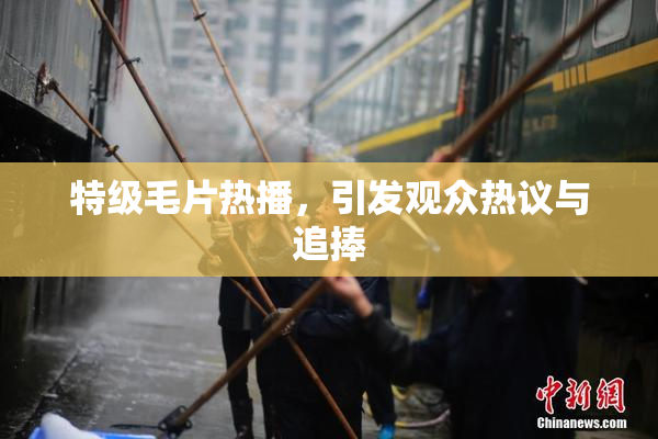 特级毛片热播，引发观众热议与追捧
