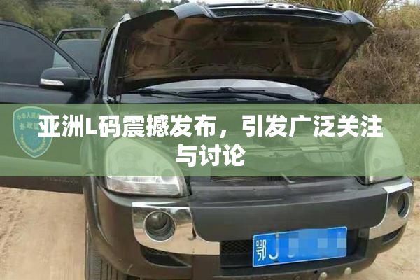 亚洲L码震撼发布，引发广泛关注与讨论