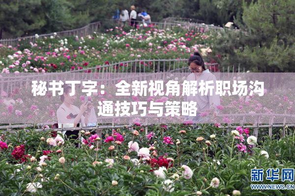 秘书丁字：全新视角解析职场沟通技巧与策略
