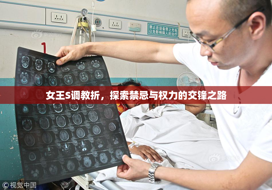 女王S调教折，探索禁忌与权力的交锋之路