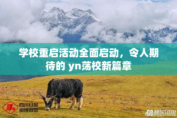 学校重启活动全面启动，令人期待的 yn荡校新篇章