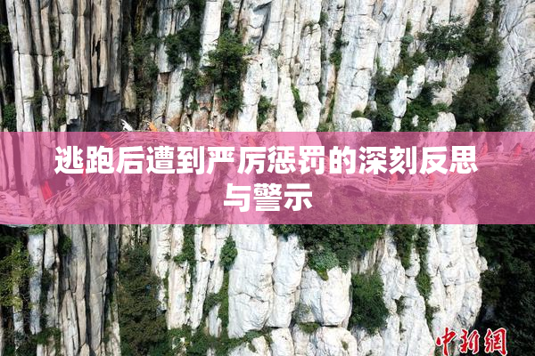 逃跑后遭到严厉惩罚的深刻反思与警示
