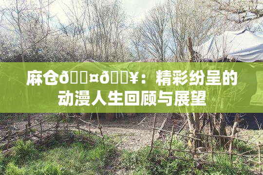 麻仓🖤🔥：精彩纷呈的动漫人生回顾与展望