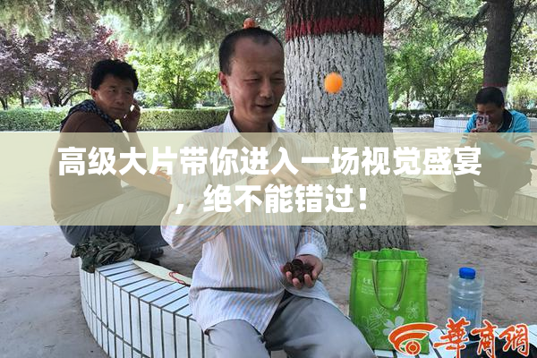 高级大片带你进入一场视觉盛宴，绝不能错过！