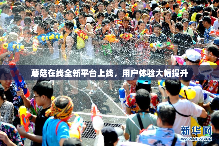 蘑菇在线全新平台上线，用户体验大幅提升