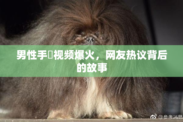 男性手婬视频爆火，网友热议背后的故事