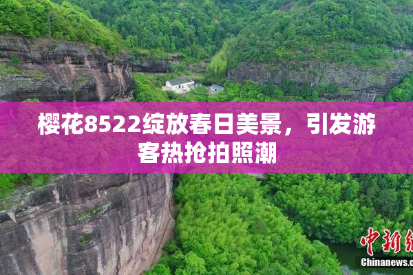 樱花8522绽放春日美景，引发游客热抢拍照潮