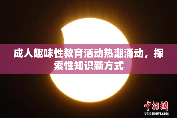 成人趣味性教育活动热潮涌动，探索性知识新方式